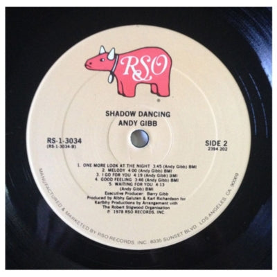 ANDY GIBB - SHADOW DANCING | VINILO