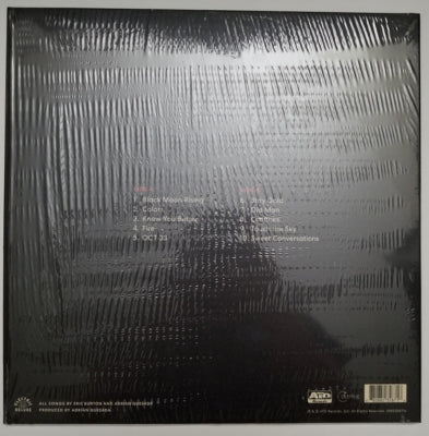 BLACK PUMAS - BLACK PUMAS | VINILO