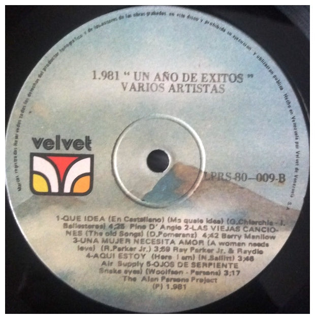 1981 - UN AÑO DE EXITOS - VARIOS ARTISTAS | VINILO USADO