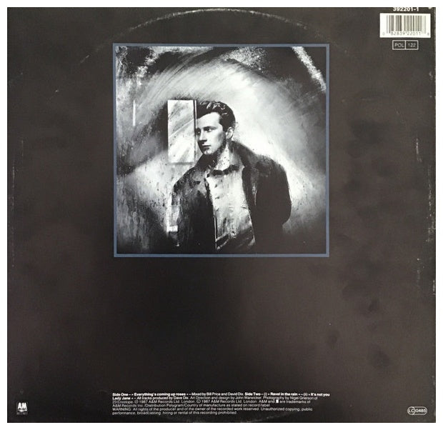 BLACK - EVERYTHING'S COMING UP ROSES | 12" MAXI SINGLE USADO