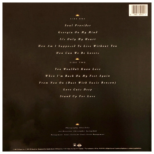 MICHAEL BOLTON - SOUL PROVIDER | VINILO USADO
