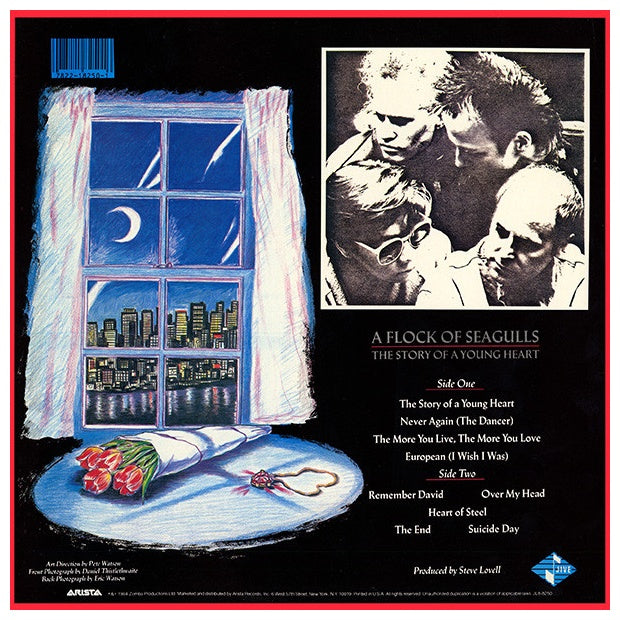 A FLOCK OF SEAGULLS - THE STORY OF A YOUNG HEART | VINILO USADO