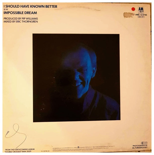 JIM DIAMOND - I SHOULD HAVE KNOWN BETTER | 12" MAXI SINGLE USADO