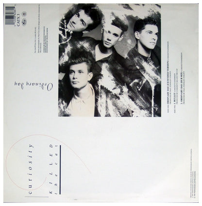 CURIOSITY KILLED THE CAT - ORDINARY DAY | 12" MAXI SINGLE USADO