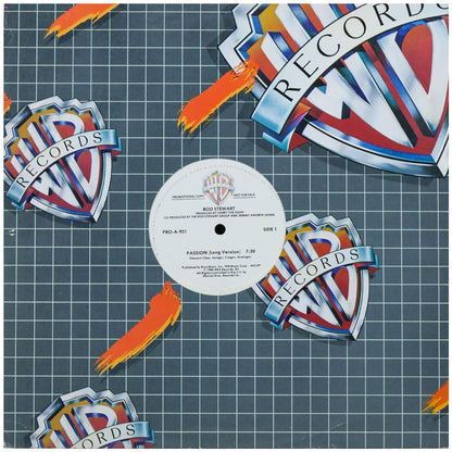 ROD STEWART - PASSION | 12" MAXI SINGLE USADO