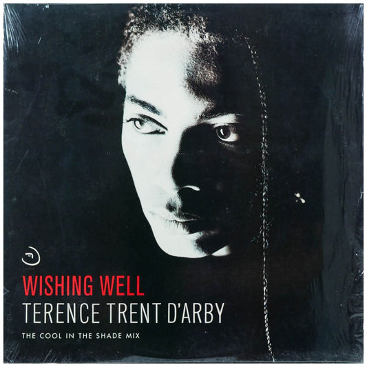 TERENCE TRENT D'ARBY - WISHING WELL | 12" MAXI SINGLE USADO