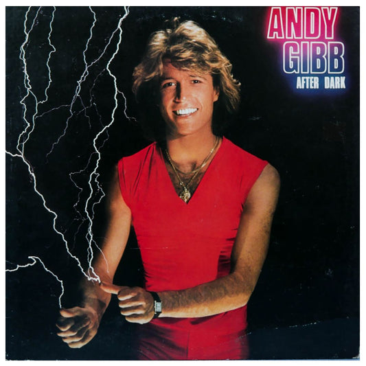 ANDY GIBB - AFTER DARK | VINILO USADO