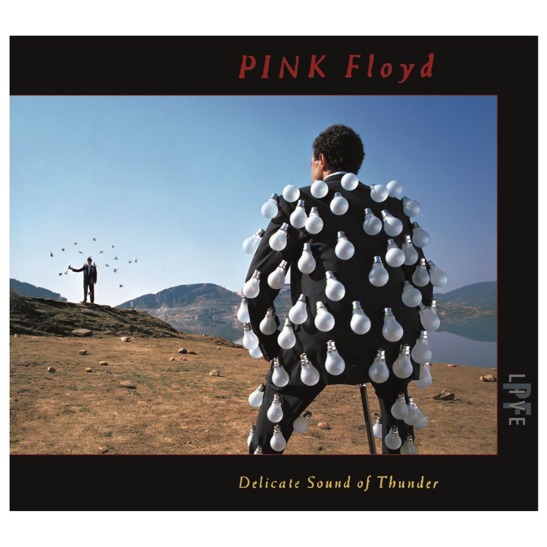 PINK FLOYD - DELICATE SOUND OF THUNDER (2CD) | CD