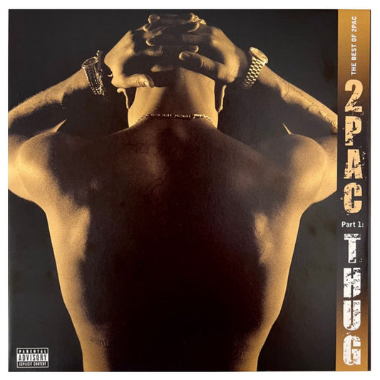 2PAC - BEST OF 2PAC PT 1: THUG (2LP) | VINILO