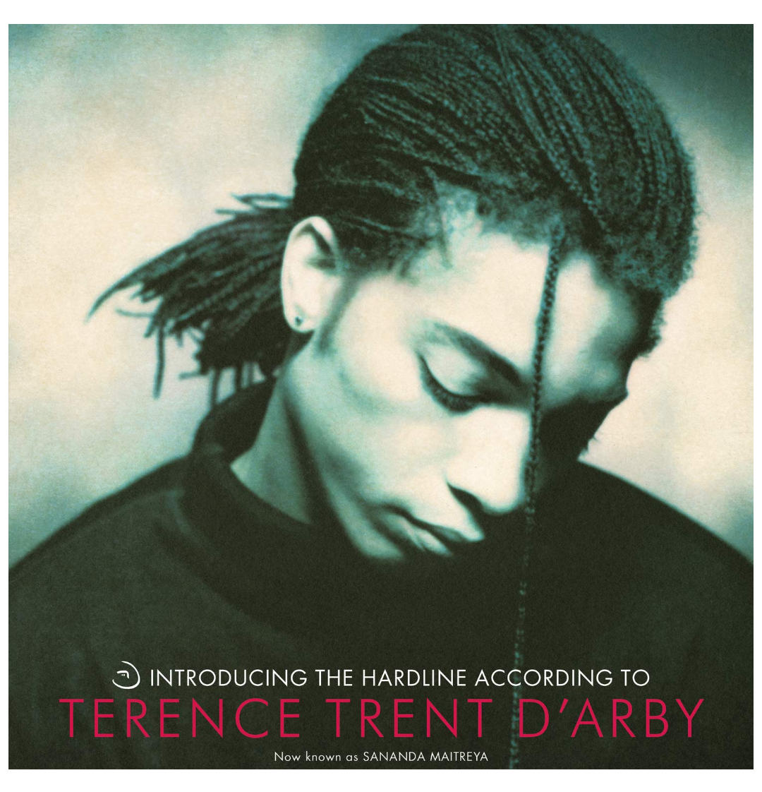TERENCE TRENT D'ARBY - INTRODUCING THE HARDLINE | VINILO