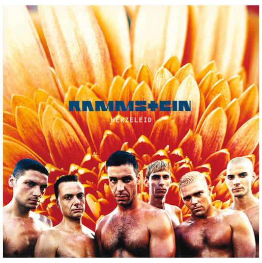 RAMMSTEIN - HERZELEID (2LP) | VINILO