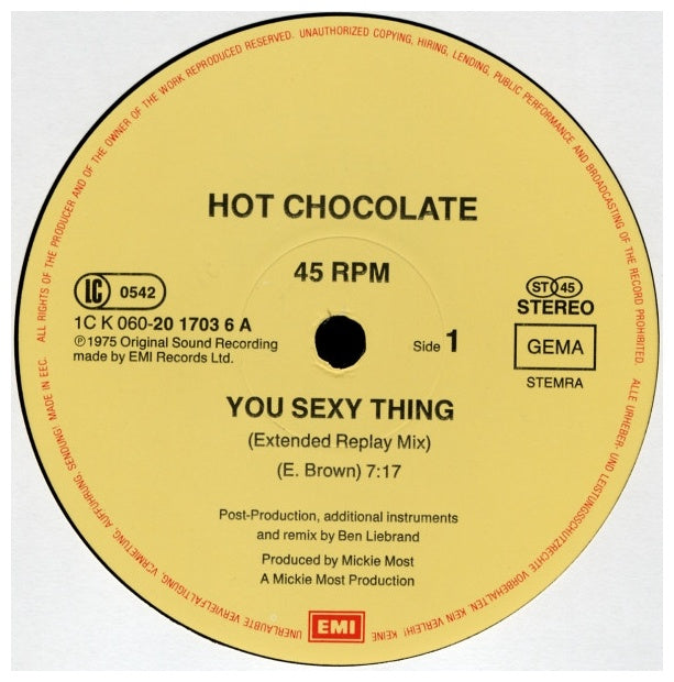 HOT CHOCOLATE - YOU SEXY THING (MEGAMIX) | 12" MAXI SINGLE USADO