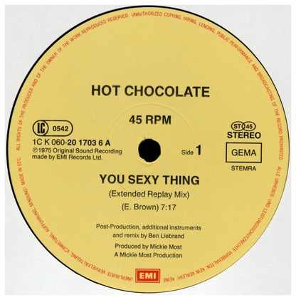 HOT CHOCOLATE - YOU SEXY THING (MEGAMIX) | 12" MAXI SINGLE USADO
