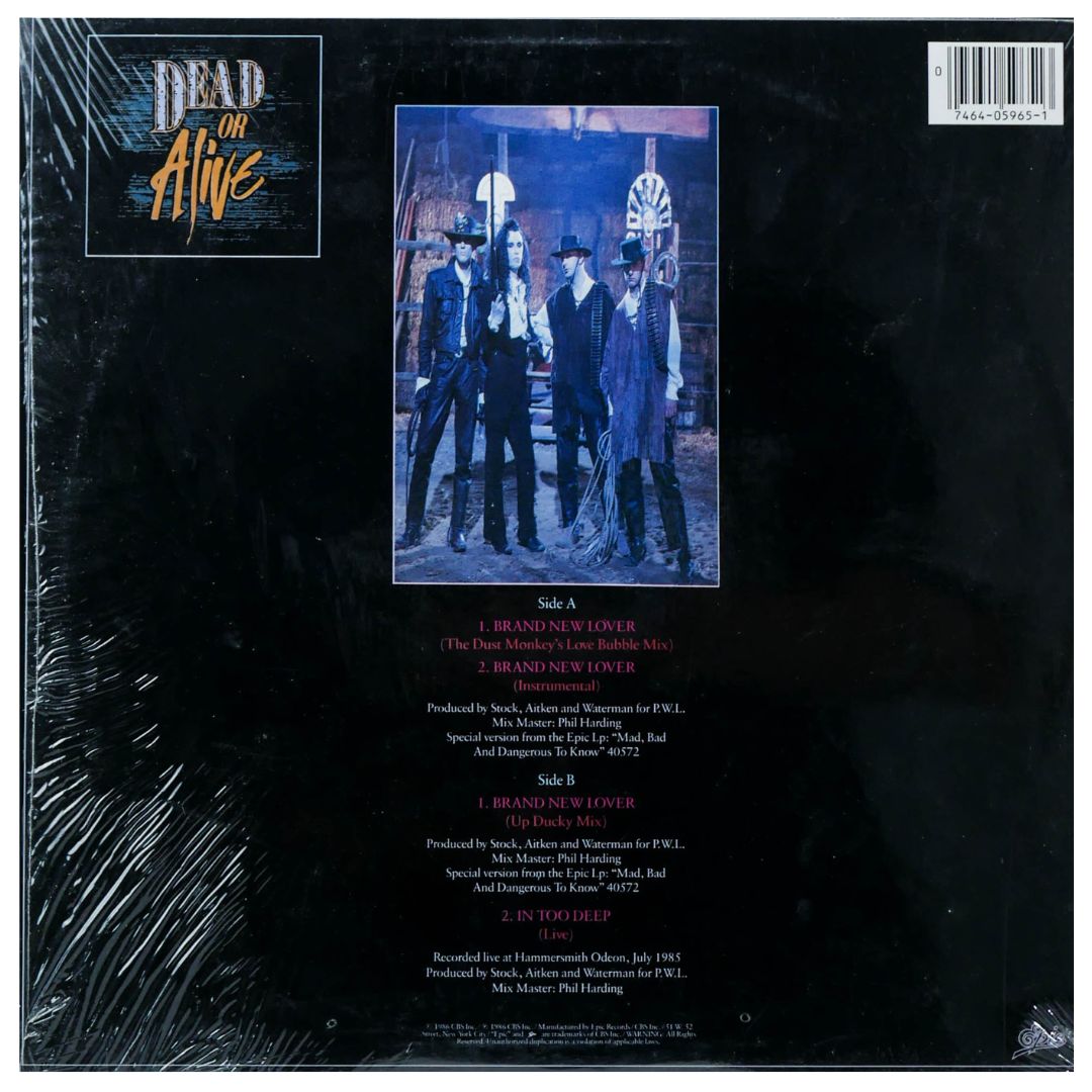 DEAD OR ALIVE - BRAND NEW LOVER | 12" MAXI SINGLE USADO