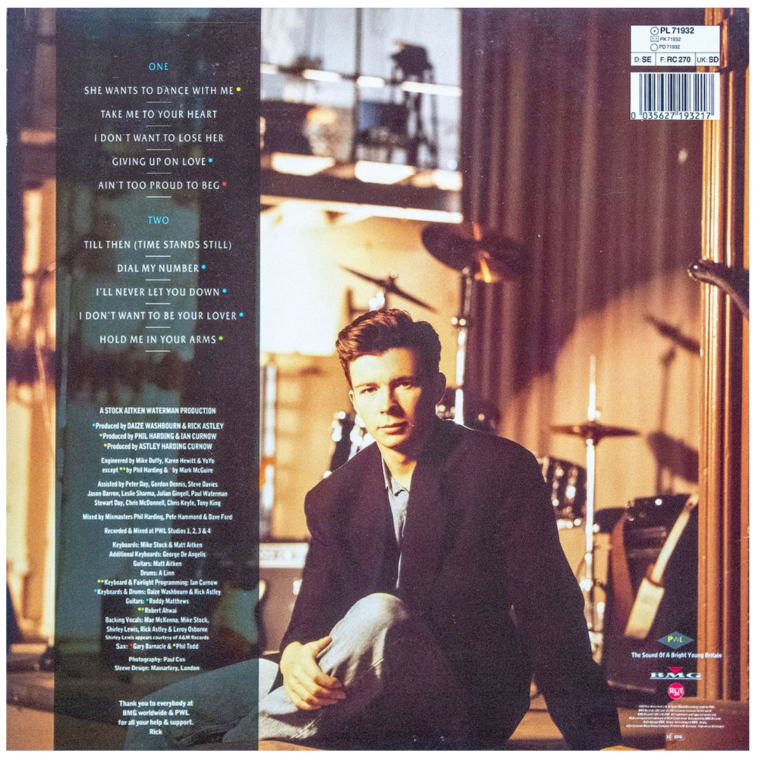 RICK ASTLEY  - HOLD ME IN YOUR ARMS | VINILO USADO