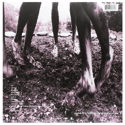 PEARL JAM - VS | VINILO