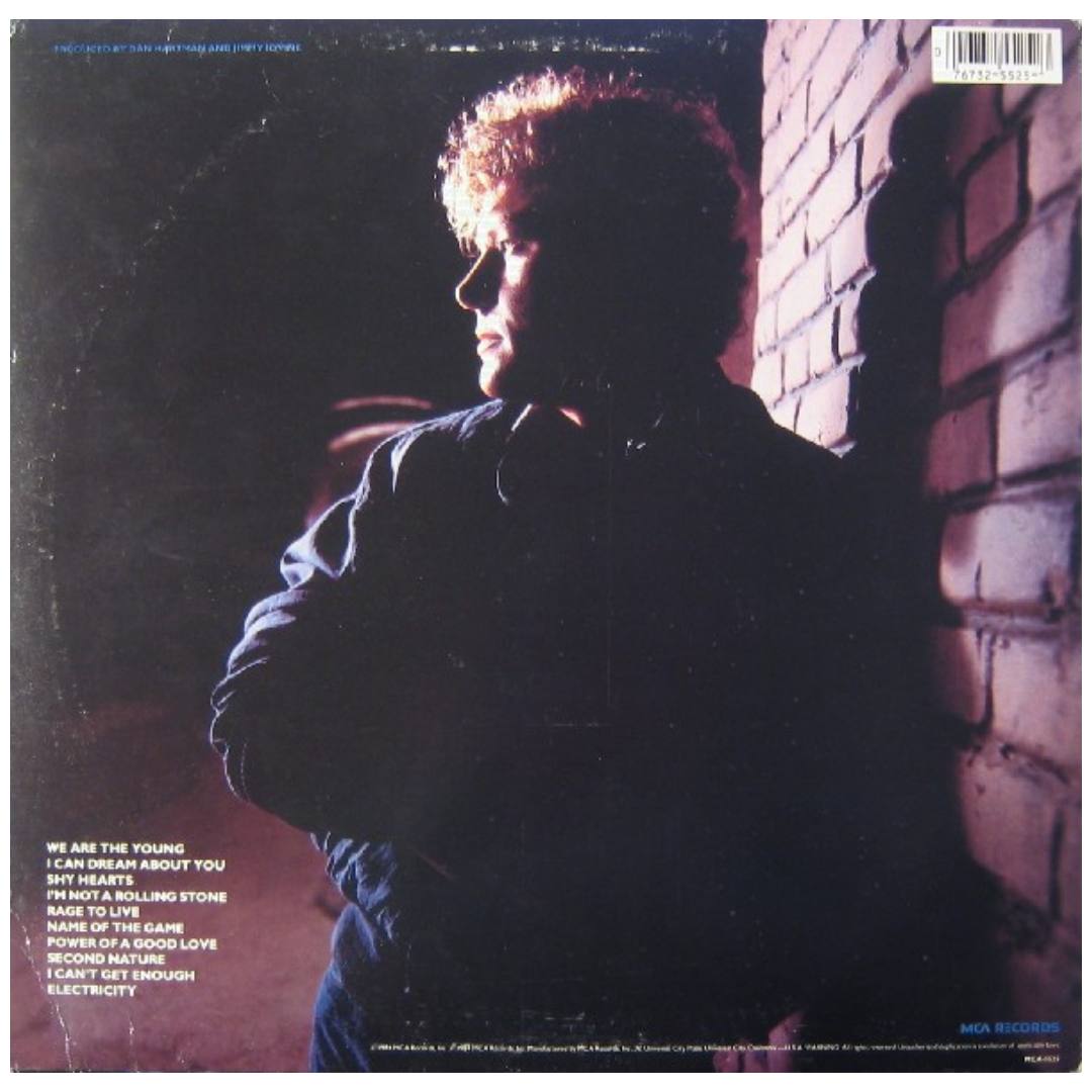 DAN HARTMAN - I CAN DREAM ABOUT YOU | VINILO