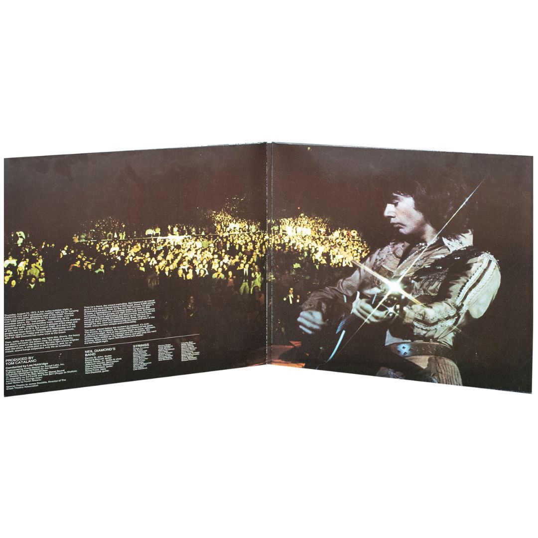 NEIL DIAMOND - HOT AUGUST NIGHT (2LP) | VINILO USADO