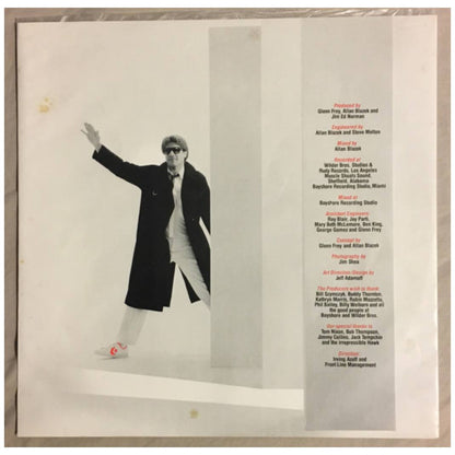 GLEN FREY - NO FUN ALOUD | VINILO