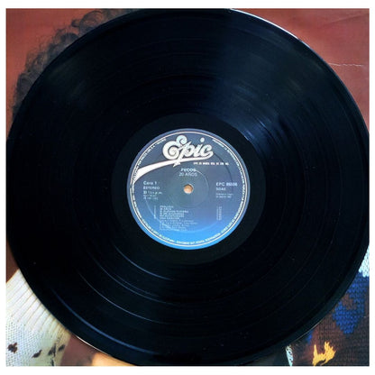 PECOS - 20 AÑOS | VINILO USADO
