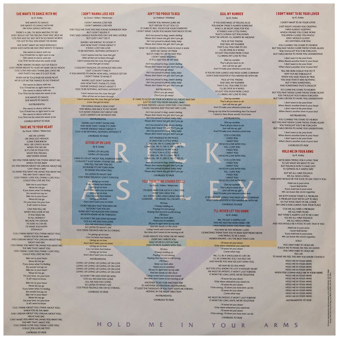 RICK ASTLEY  - HOLD ME IN YOUR ARMS | VINILO USADO