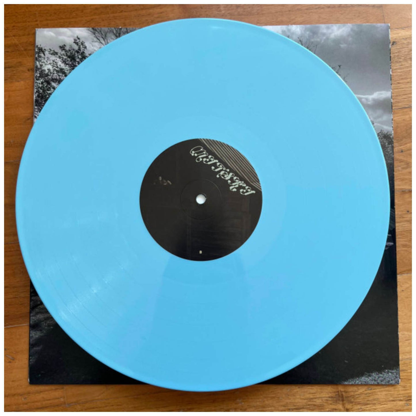 MITSKI - LAND IS INHOSPITABLE AND SO ARE WE (BLUE VINYL) | VINILO