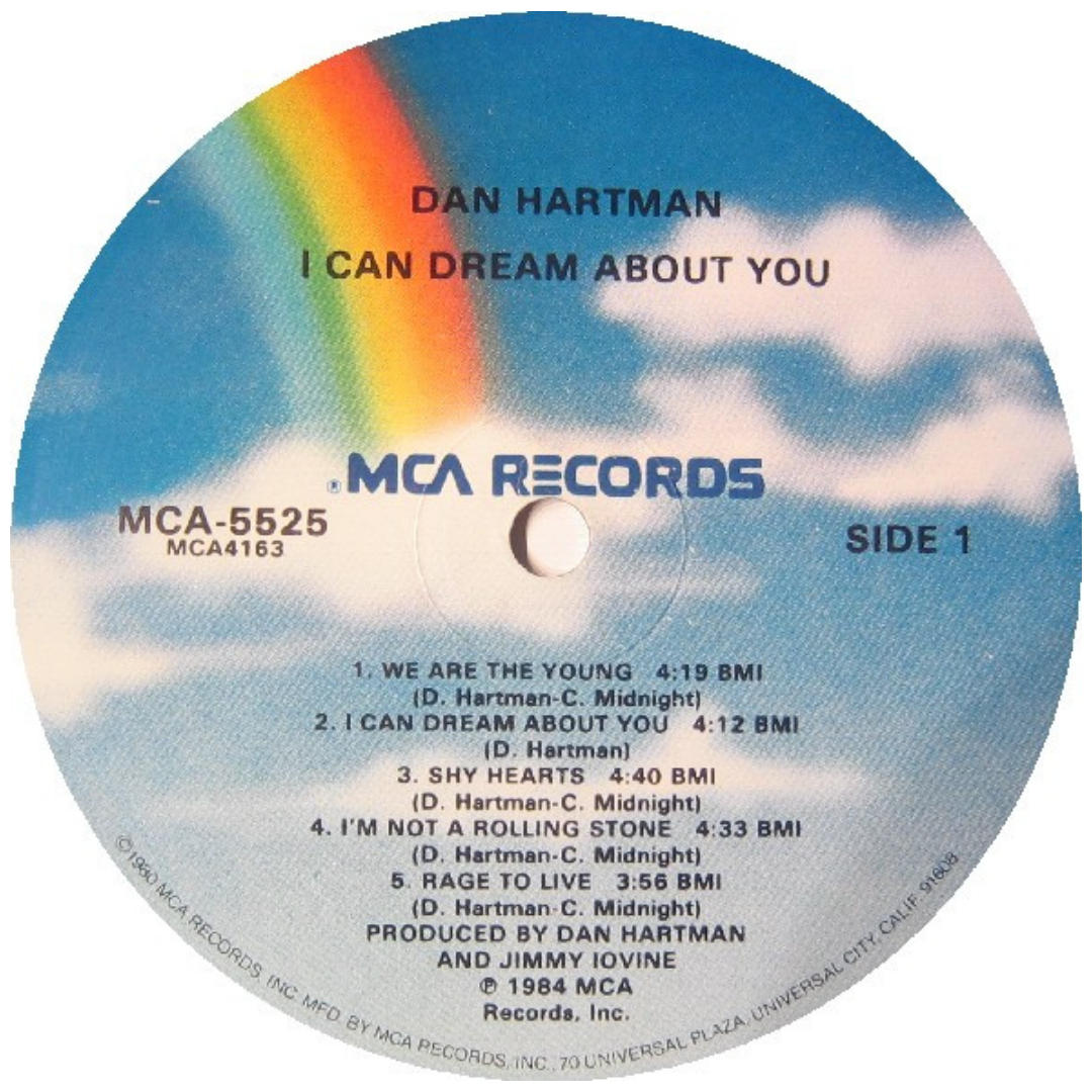 DAN HARTMAN - I CAN DREAM ABOUT YOU | VINILO