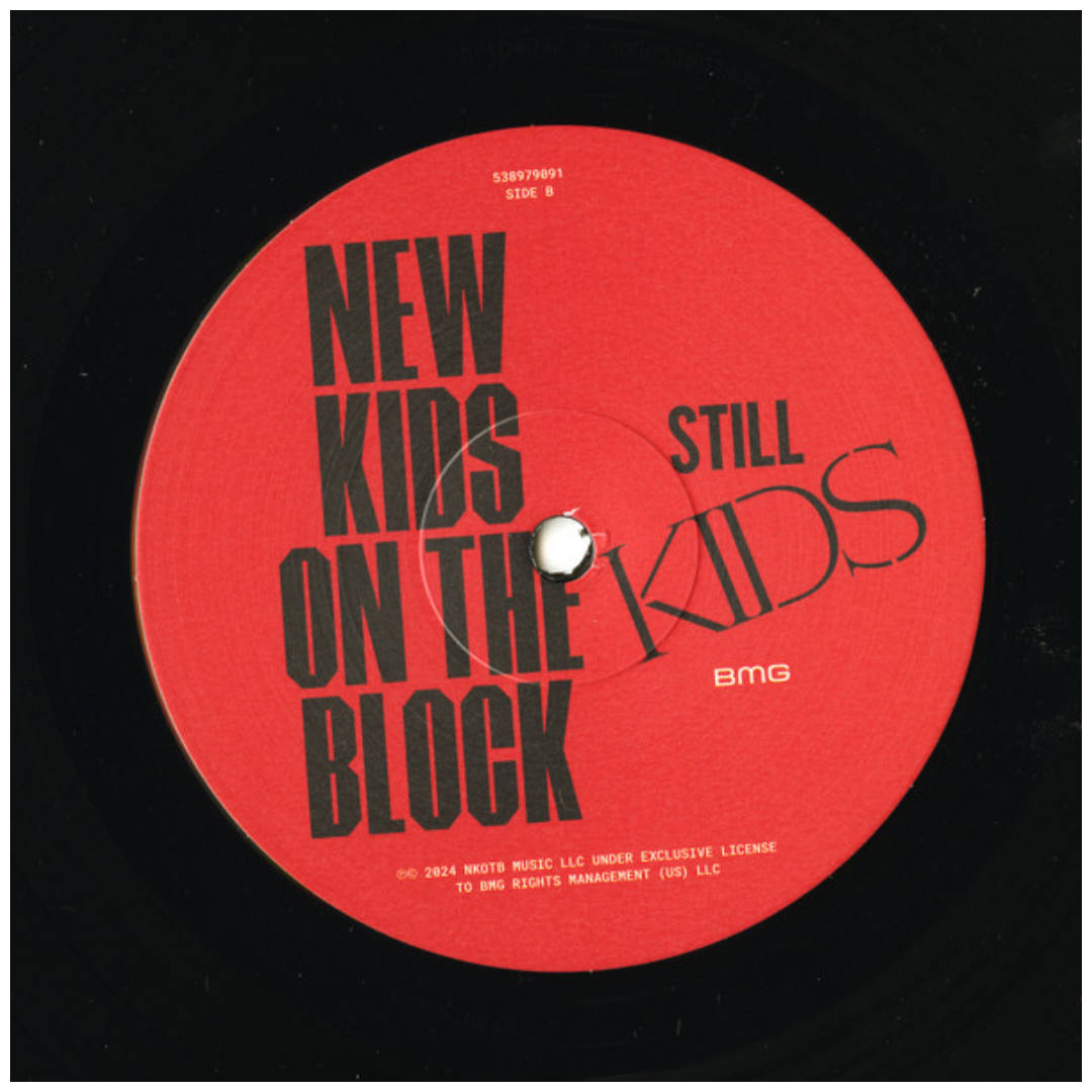 NEW KIDS ON THE BLOCK - STILL KIDS | VINILO