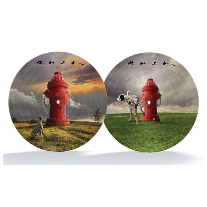 RUSH - SIGNALS (PICTURE DISC) | VINILO