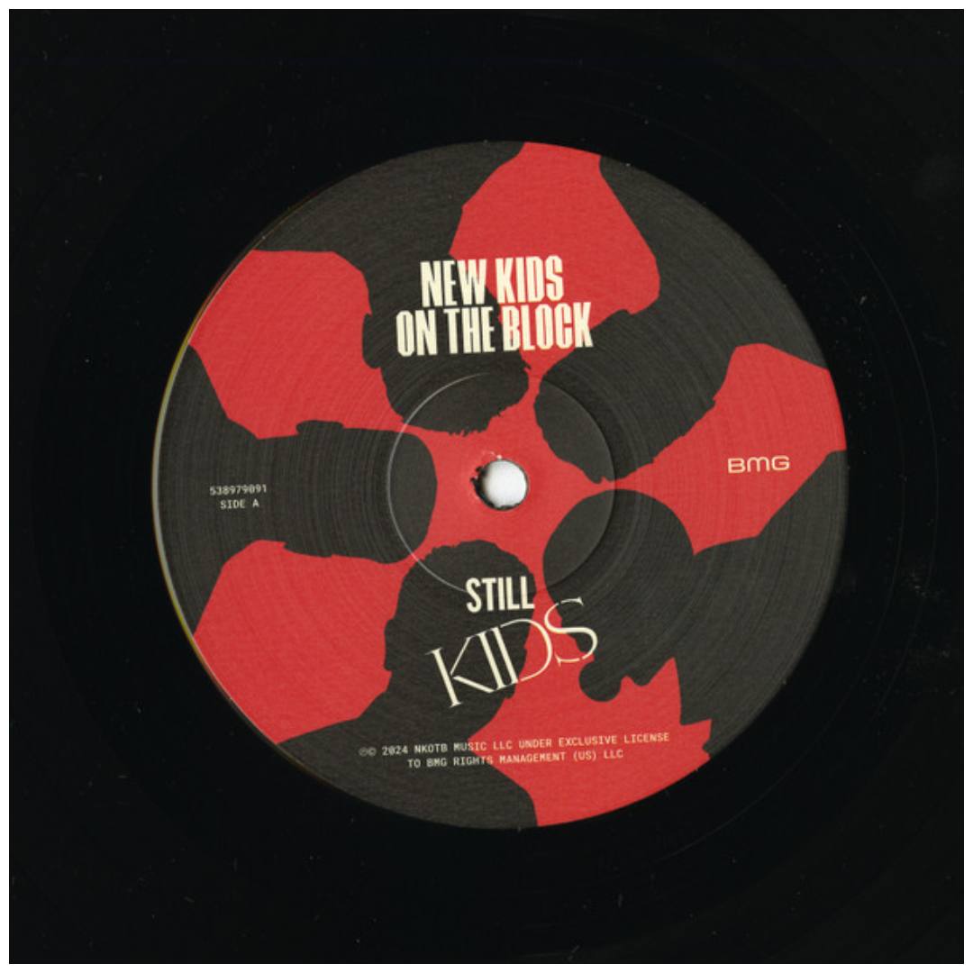 NEW KIDS ON THE BLOCK - STILL KIDS | VINILO