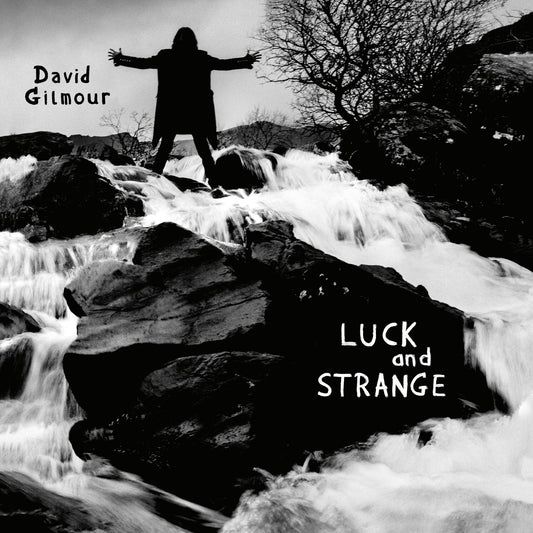 DAVID GILMOUR - LUCK AND STRANGE | VINILO