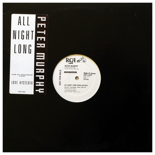 PETER MURPHY - ALL NIGHT LONG | 12" MAXI SINGLE USADO