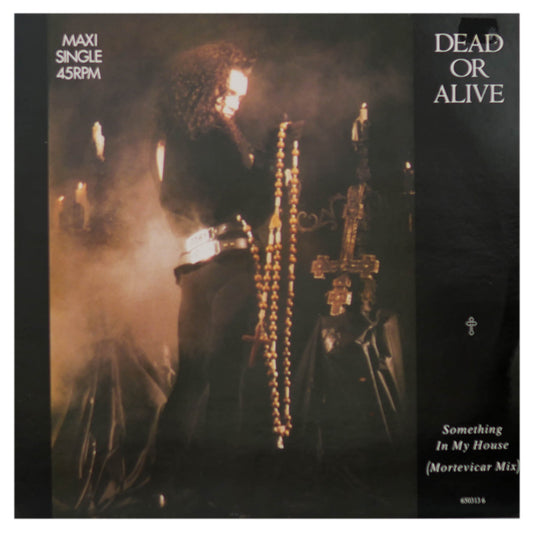DEAD OR ALIVE - SOMETHING IN MY HOUSE  | 12" MAXI SINGLE USADO