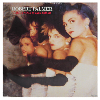 ROBERT PALMER - I DIDN'T MEAN TO TURN YOU ON | 12" MAXI SINGLE USADO