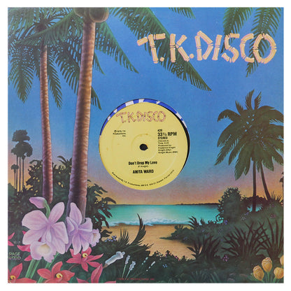 ANITA WARD - DON'T DROP MY LOVE | 12" MAXI SINGLE USADO