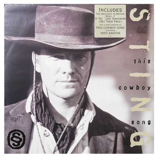 STING - IF YOU LOVE SOMEBODY (SET THEM FREE) | 12" MAXI SINGLE USADO