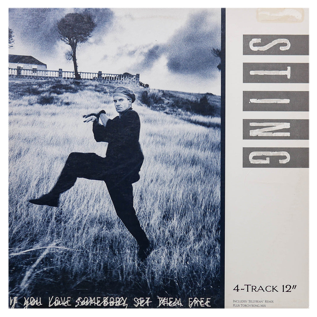 STING - IF YOU LOVE SOMEBODY SET THEM FREE | 12" MAXI SINGLE USADO