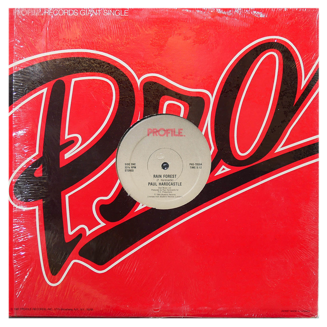 PAUL HARDCASTLE - RAIN FORREST | 12" MAXI SINGLE USADO