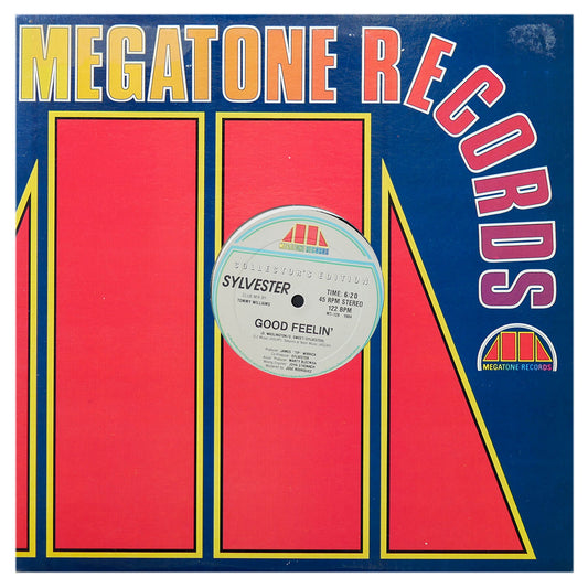 SYLVESTER - CALL ME (REMIX)/GOOD FEELIN' | 12" MAXI SINGLE USADO
