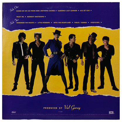MOTELS - LITTLE ROBBERS | VINILO USADO