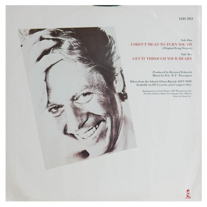 ROBERT PALMER - I DIDN'T MEAN TO TURN YOU ON | 12" MAXI SINGLE USADO
