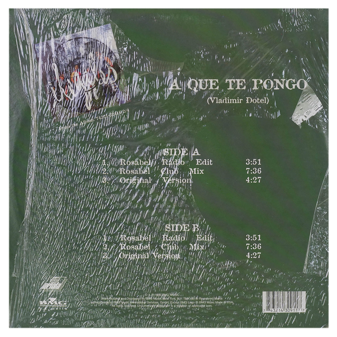 ILEGALES - A QUE TE PONGO | 12" MAXI SINGLE USADO