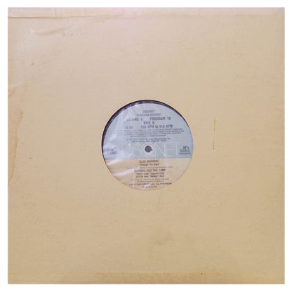 ANTHONY AND THE CAMP - WHAT I LIKE (SPECIAL EDIT) | 12" MAXI SINGLE USADO