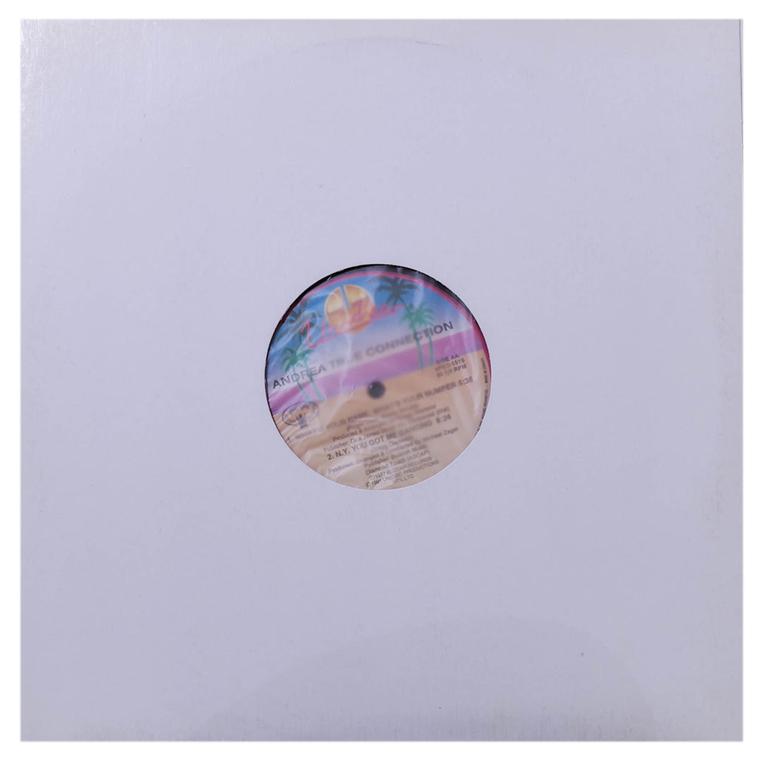 ANDREA TRUE COLLECTION - MORE, MORE, MORE | 12" MAXI SINGLE USADO