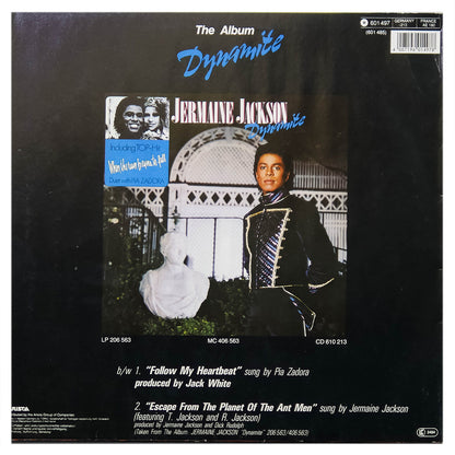 JERMAINE JACKSON FT. PIA ZADORA - WHEN THE RAIN BEGINS TO FALL | 12" MAXI SINGLE USADO