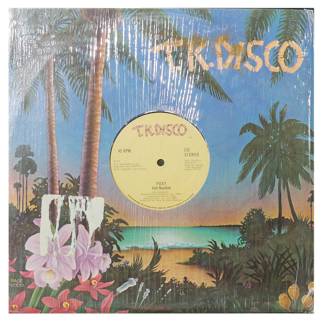 FOXY  - HOT NUMBER | 12" MAXI SINGLE USADO