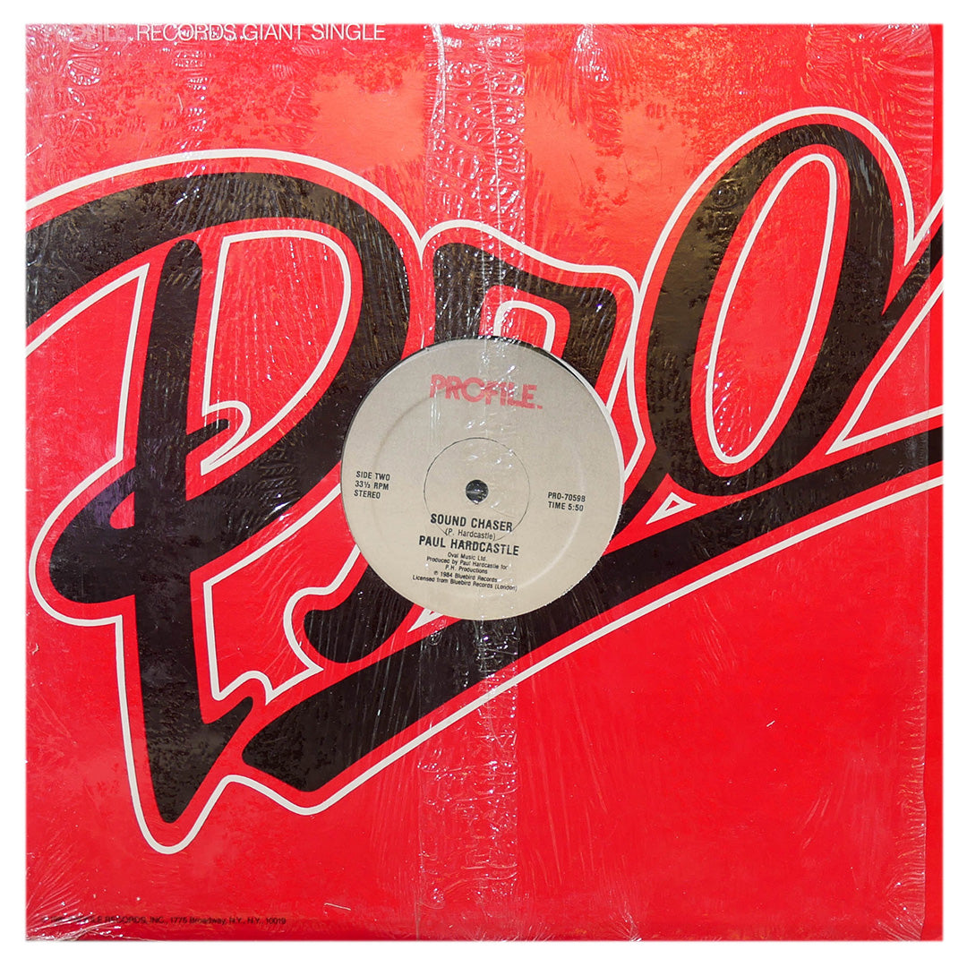 PAUL HARDCASTLE - RAIN FORREST | 12" MAXI SINGLE USADO