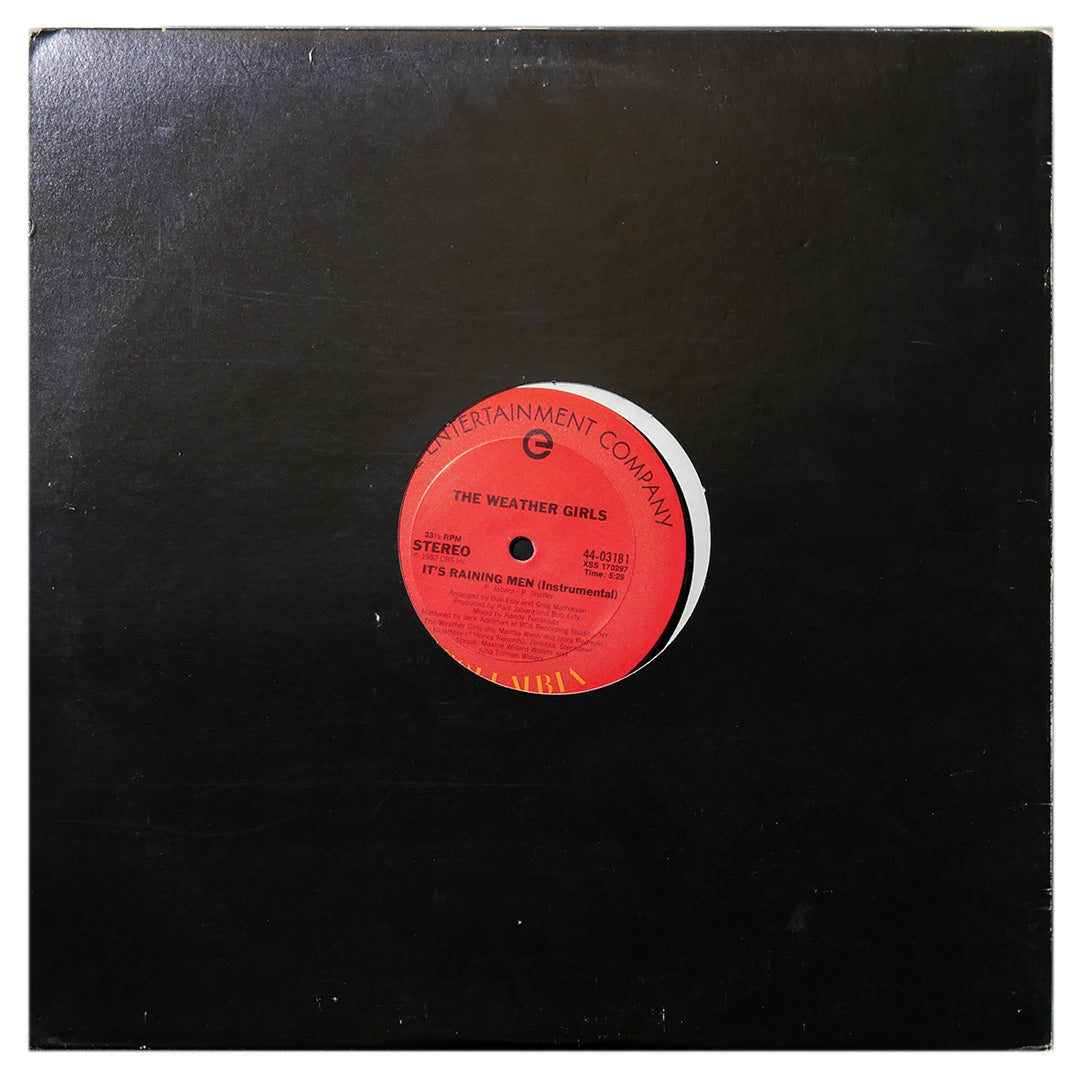 THE WEATHER GIRLS - IT'S A RAINING MEN | 12" MAXI SINGLE USADO