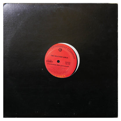 THE WEATHER GIRLS - IT'S A RAINING MEN | 12" MAXI SINGLE USADO