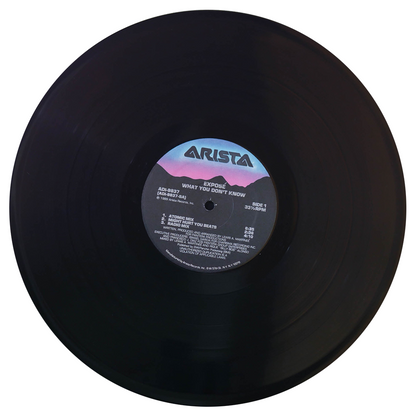 EXPOSÉ - WHAT YOU DON'T KNOW | 12" MAXI SINGLE USADO